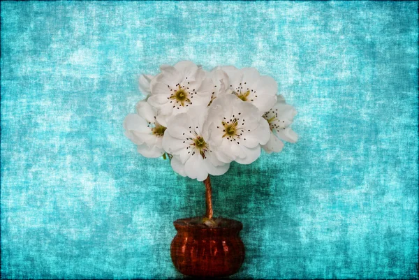 Kvetoucí strom na modrém pozadí — Stock fotografie