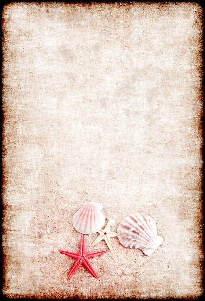 Background from sand and shells — Stock Photo, Image