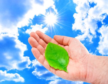Man's hand with a young green leaf clipart