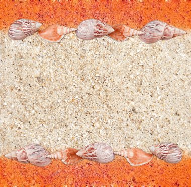 Background from sand and shells clipart