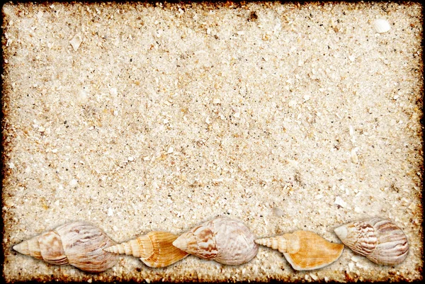Sfondo da sabbia e conchiglie — Foto Stock