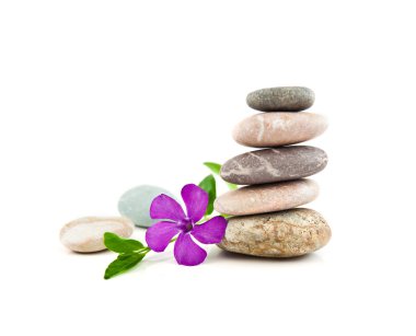The balanced stones and gentle flower