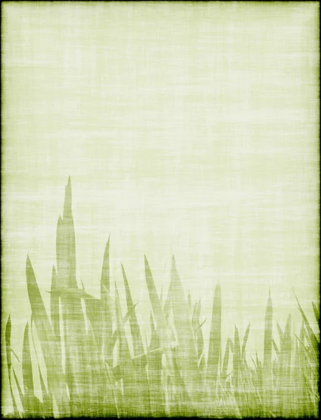 Schöner Hintergrund mit Gras — Stockfoto