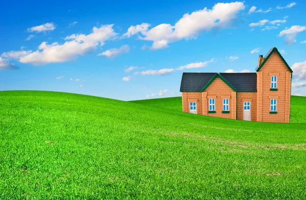 La casa su un'erba — Foto Stock