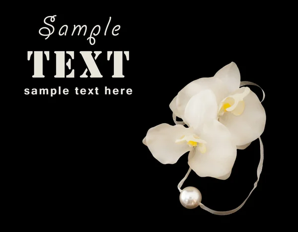 Nazik orkide kompozisyon — Stok fotoğraf
