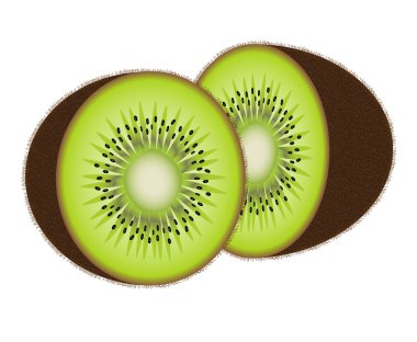 Vector kiwi fruit clipart