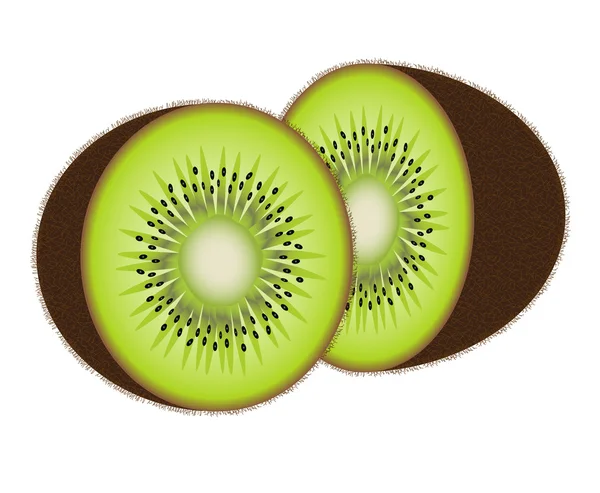 Vektör kivifruta de kiwi Vector — Stok Vektör