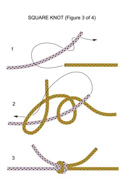 Square knot (illustration 3 of 4) clipart