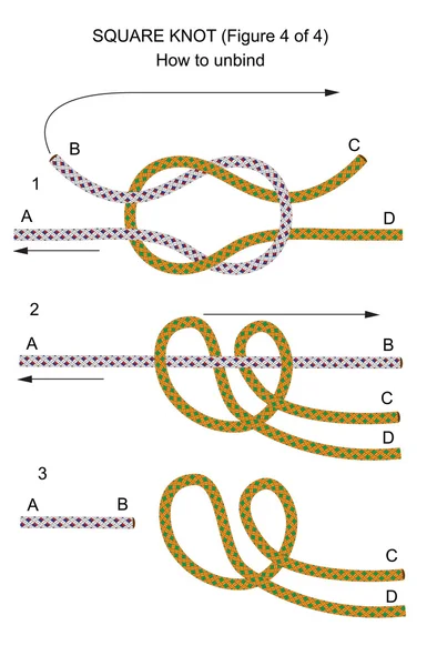 正方形の結び目 (図 4 の 4) — ストックベクタ