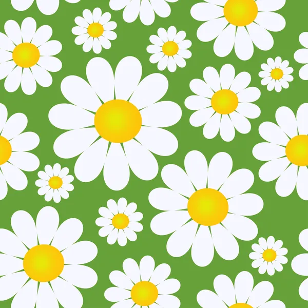 Modèle sans couture avec des fleurs de camomille — Image vectorielle