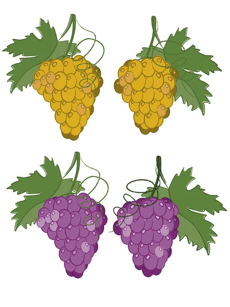 Branches og raisins — Image vectorielle
