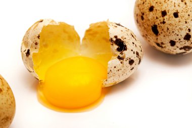 Broken in half quail egg clipart