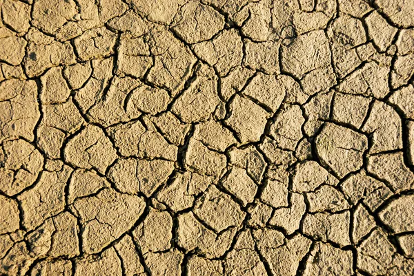 Dry wethered land background — Stock Photo, Image