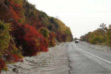 Dağ yolu