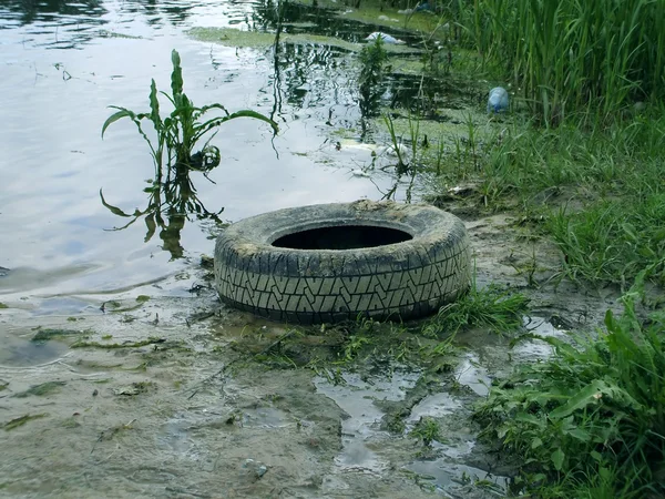 stock image Wheel tire in the water