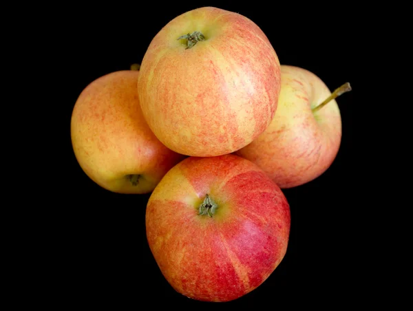 Siyah sonbahar taze elma — Stok fotoğraf