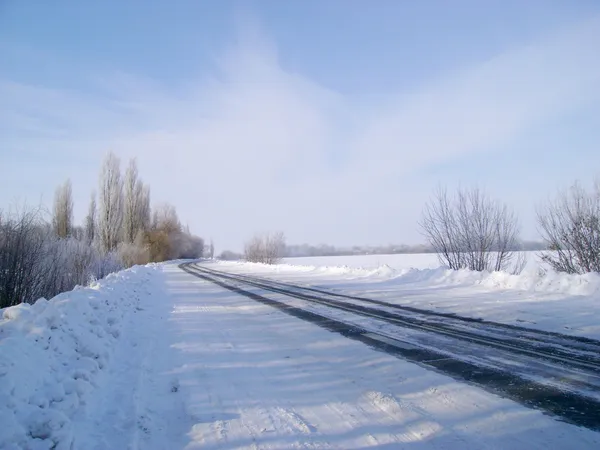Camino de nieve — Foto de Stock