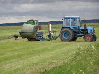 Hay gathering clipart