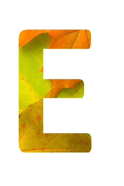 stock image Autumn font