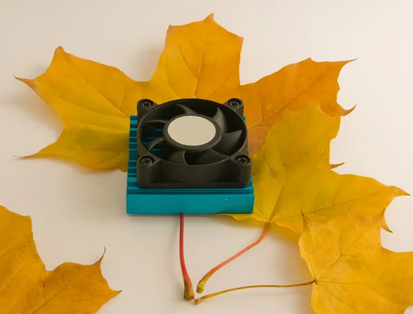 Jesienią oferuje akcesoria komputerowe — Zdjęcie stockowe