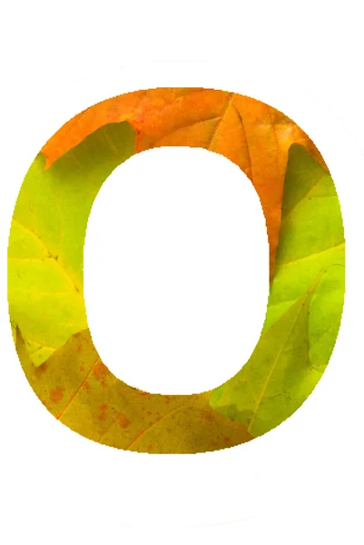 Осенний шрифт — стоковое фото
