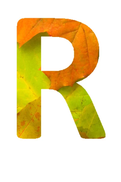 Herfst lettertype — Stockfoto