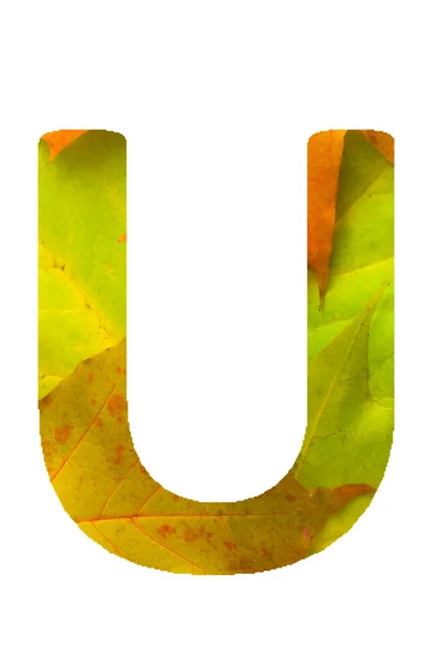Autumn font — Stock Photo, Image
