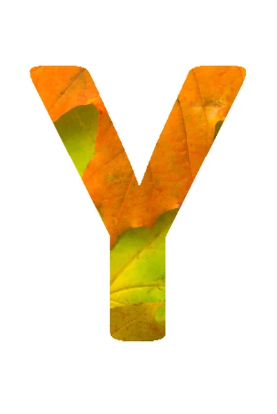 Autumn font — Stock Photo, Image