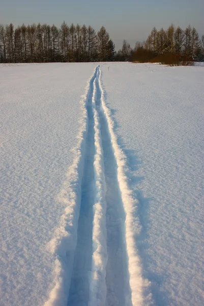 Healthy winter jog — Stock Photo, Image