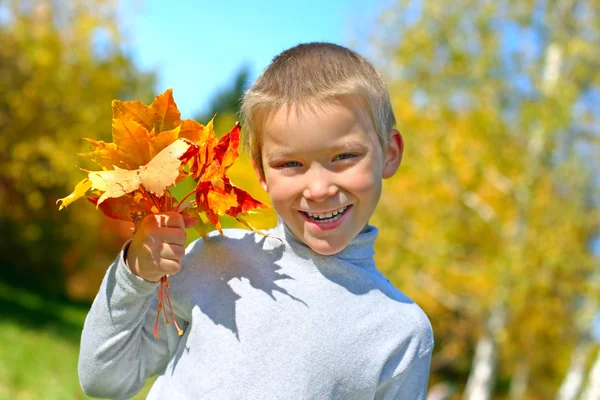 Jongen met bladeren — Stockfoto