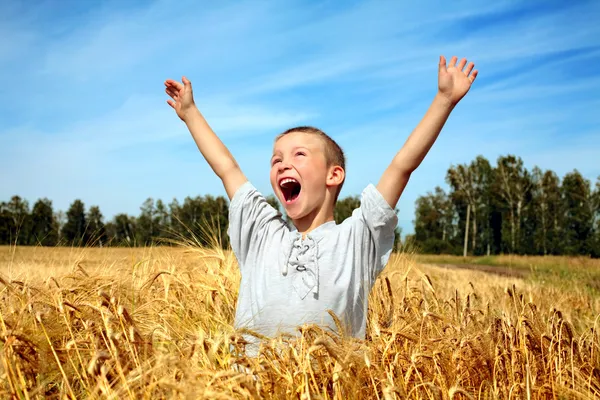 Enfant dans le champ de blé — Photo