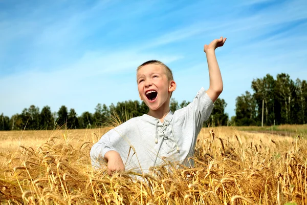Kid in wheat field — Stock Photo, Image