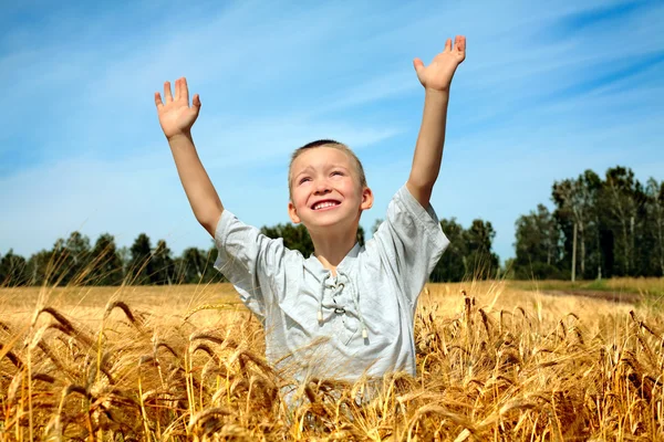 Kid in tarweveld — Stockfoto