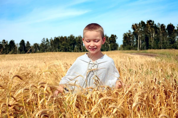 Niño en campo de trigo —  Fotos de Stock