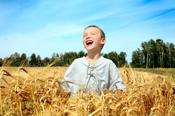 Dziecko w polu pszenicy — Zdjęcie stockowe