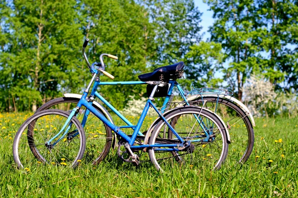 Två gamla cykel — Stockfoto