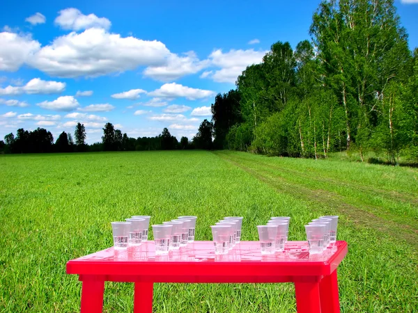Água potável em prados — Fotografia de Stock
