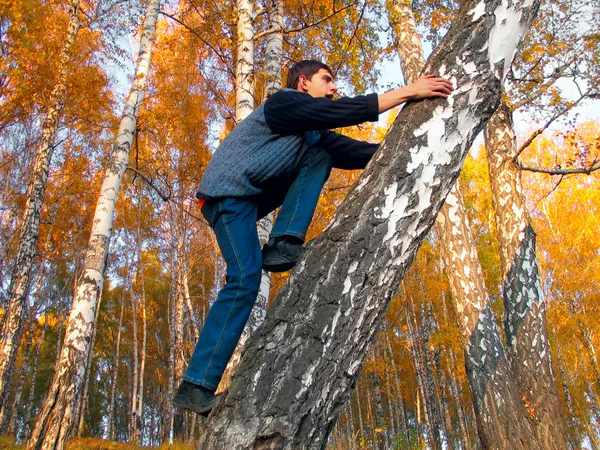 青少年在秋天的森林 — 图库照片