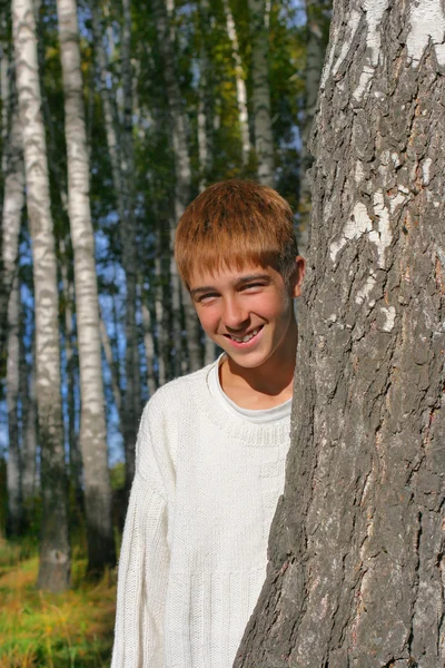 Boy near the birch — Stock Photo, Image