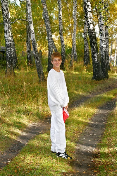Boy in autumn forest — Stock Photo, Image