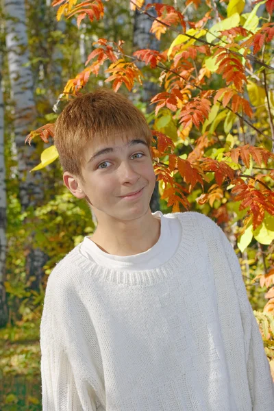 Junge im Herbstwald — Stockfoto