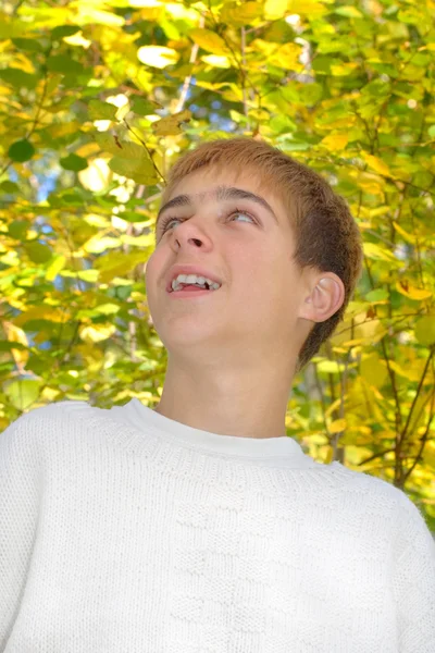 Chłopiec w jesień las — Zdjęcie stockowe