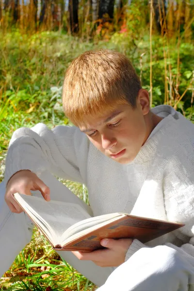 Olvasás fiút — Stock Fotó