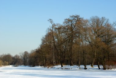 City park pond in early spring clipart