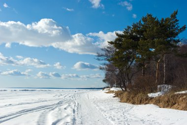 The Gulf of Finland coast in early sprin clipart