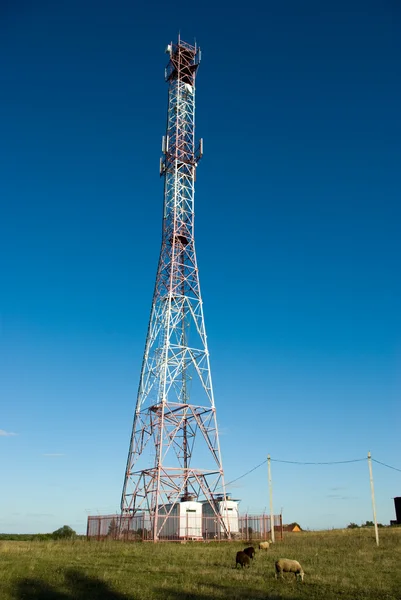 Torre del teléfono celular en el campo —  Fotos de Stock