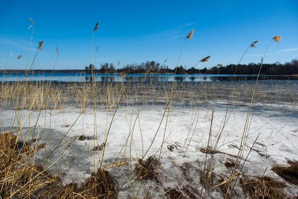 Spring water landscape — Stock Image Spring water landscape Stock Photo