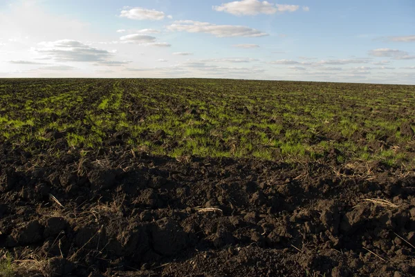 stock image Ploughed chernozem (black earth) field