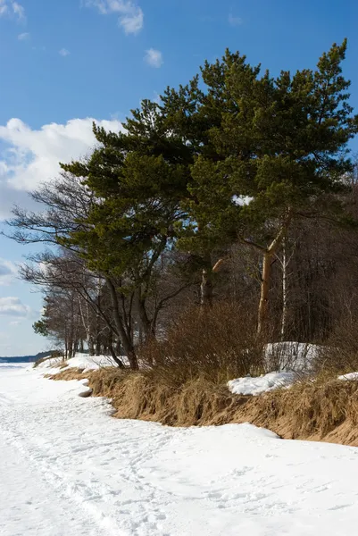 Plaży zatoki z Finlandii wczesną wiosną — Zdjęcie stockowe