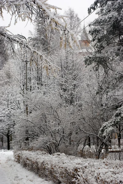 Sneeuw bedekte stadspark — Stockfoto
